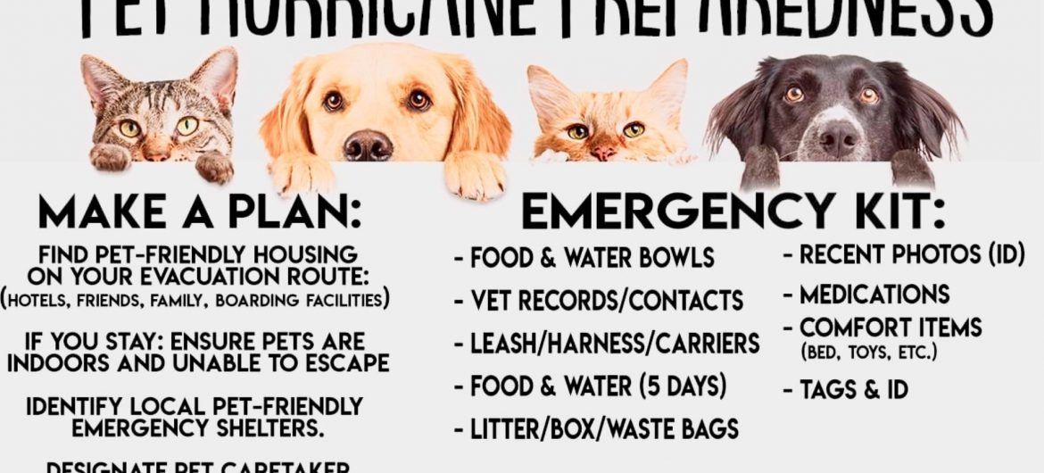 Hurricane Pet safety chart